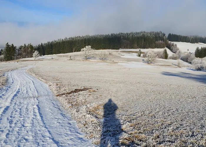 Beata Chalet Horni Alberice